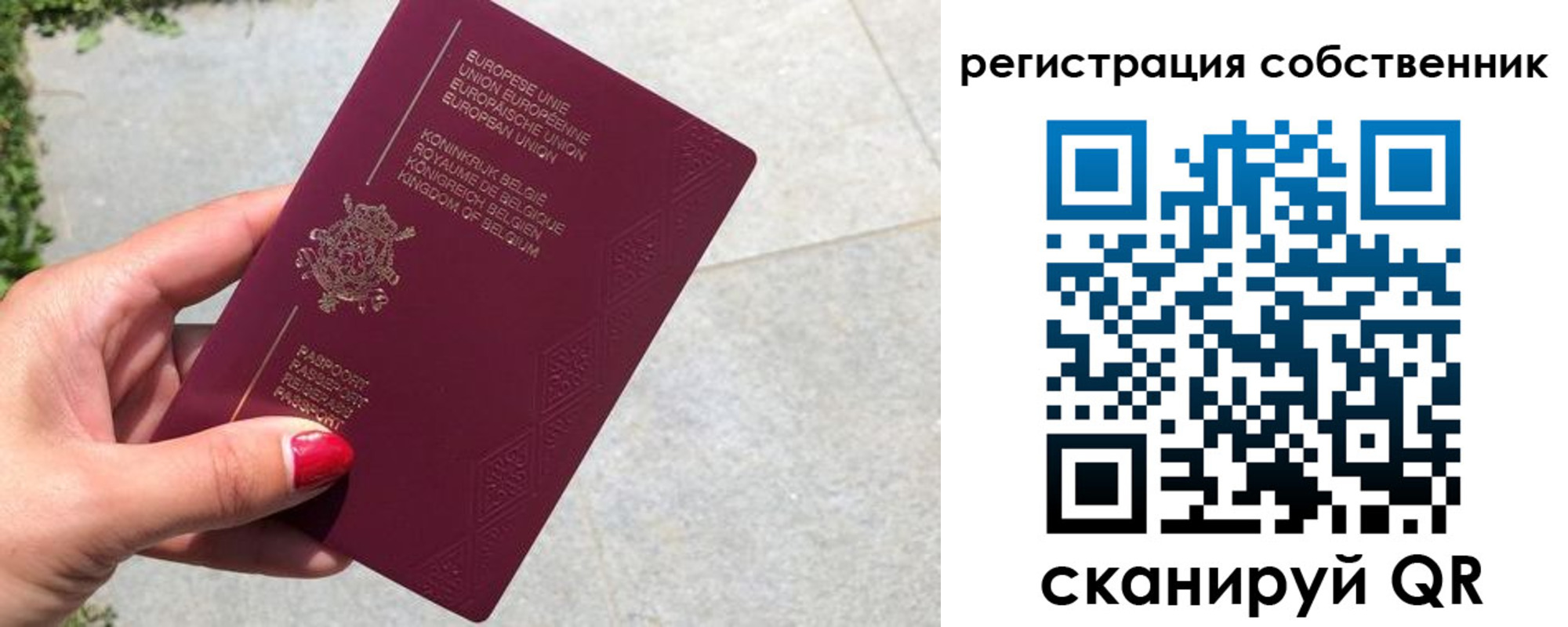 временная регистрация поиск в Лыткарино